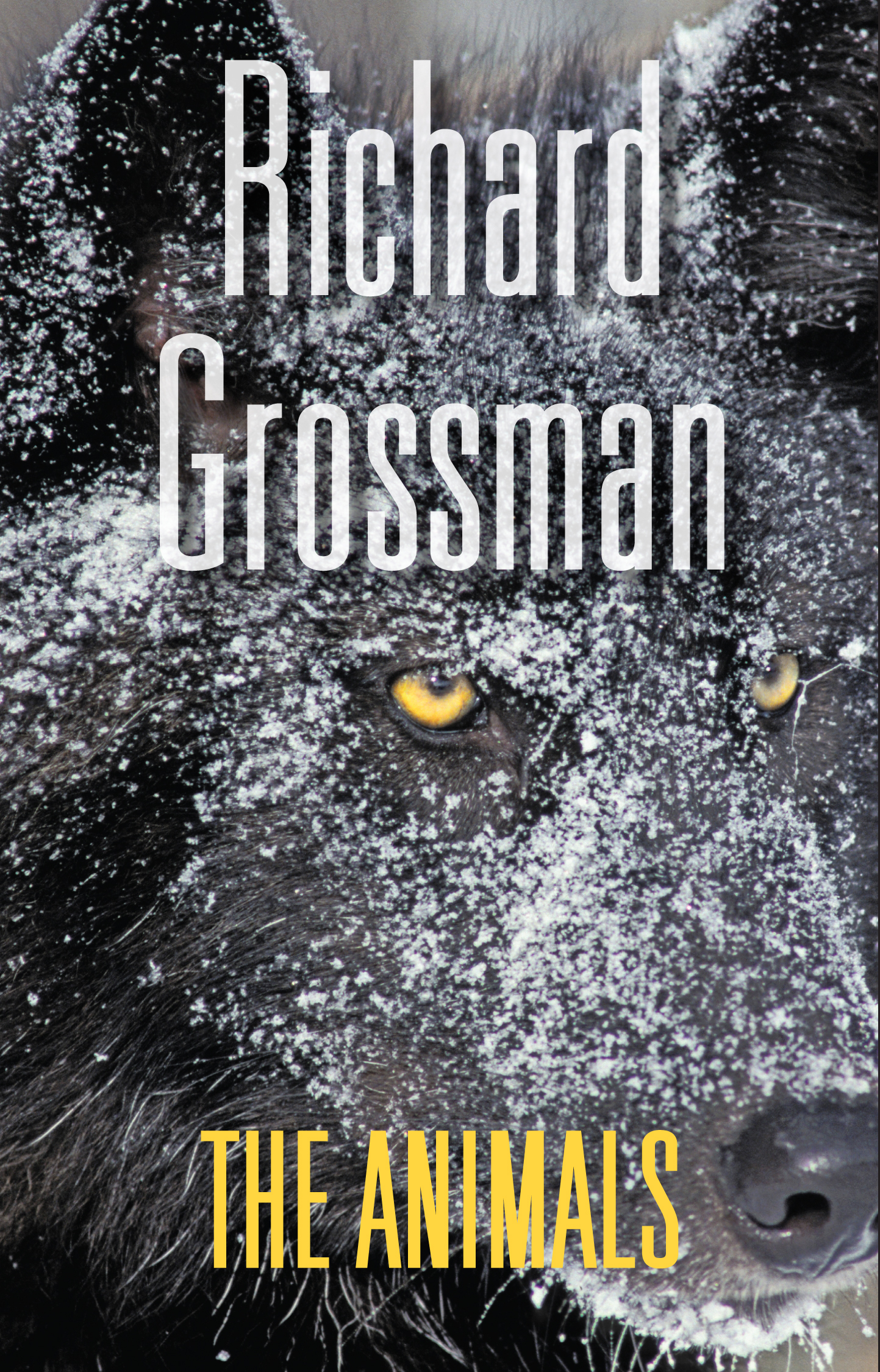 Richard Grossman