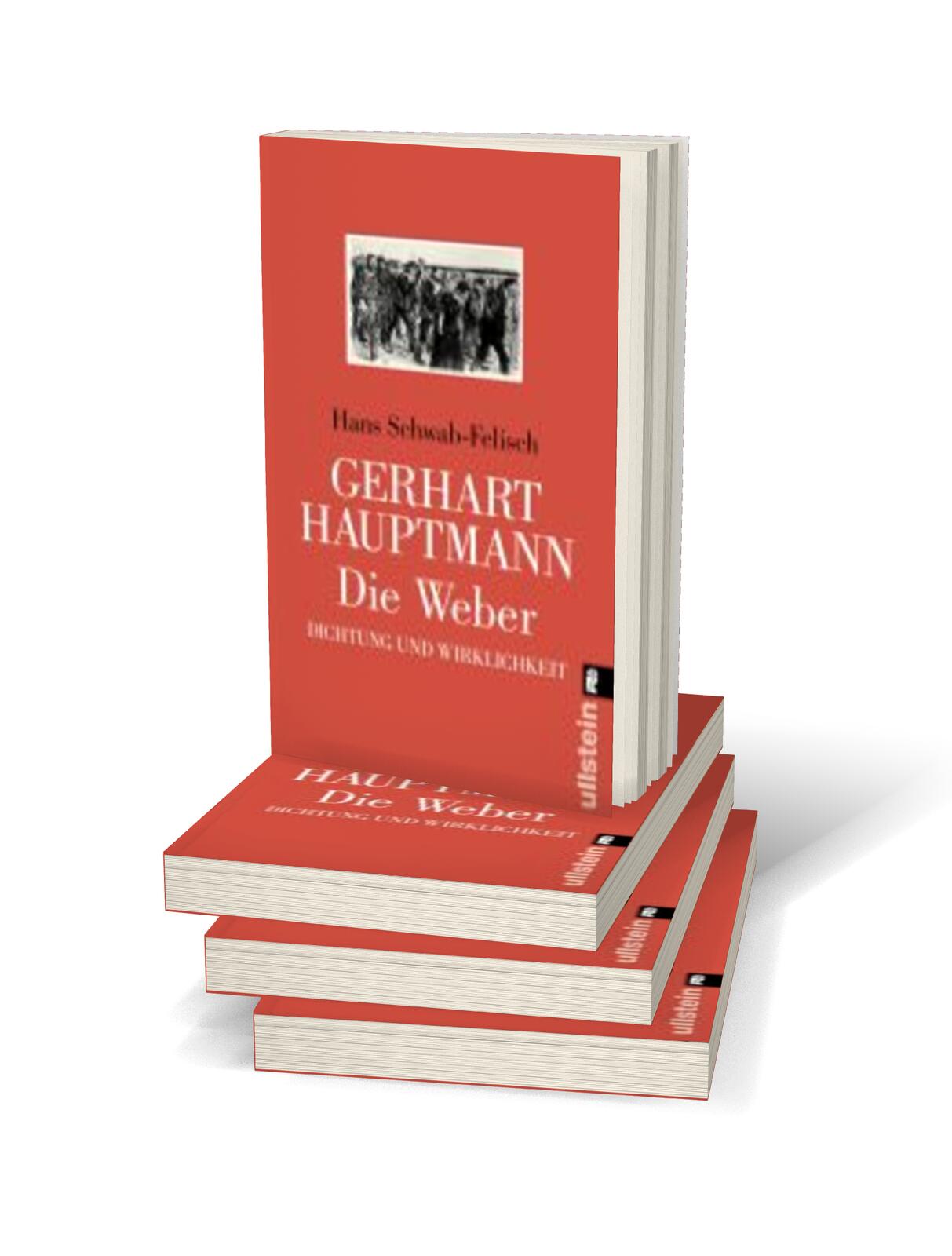 Hans Schwab-Felisch