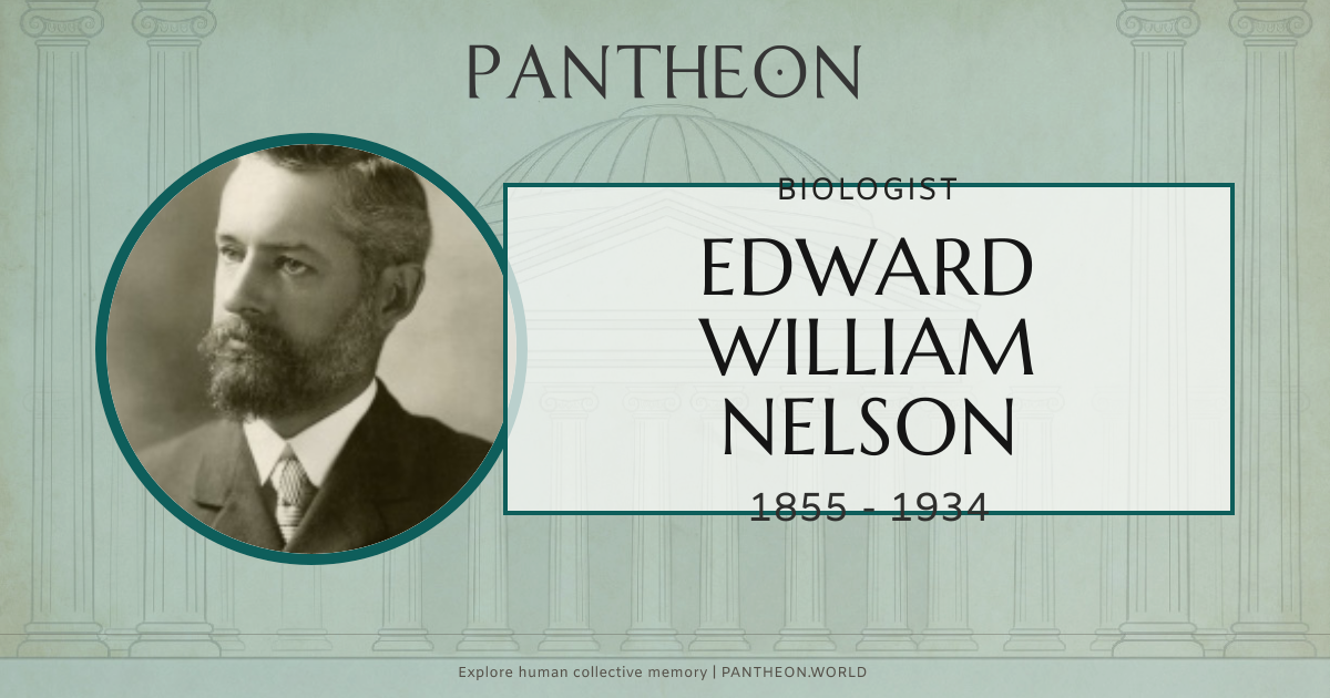 Edward Nelson