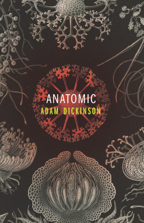 A.D. Dickinson