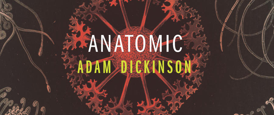 A.D. Dickinson