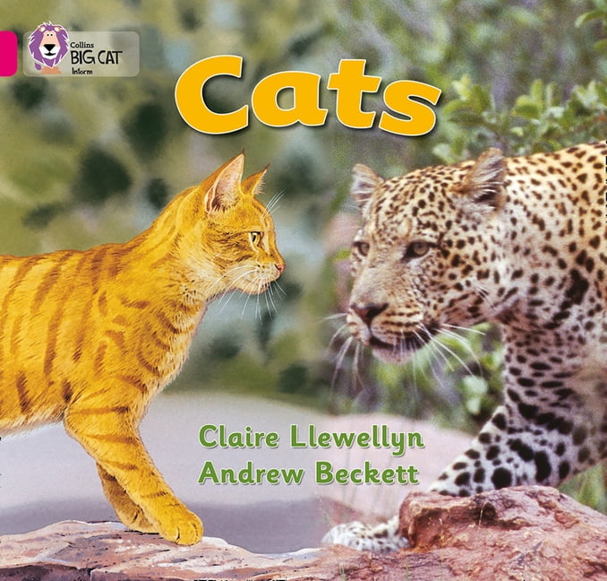 Collins Big Cat
