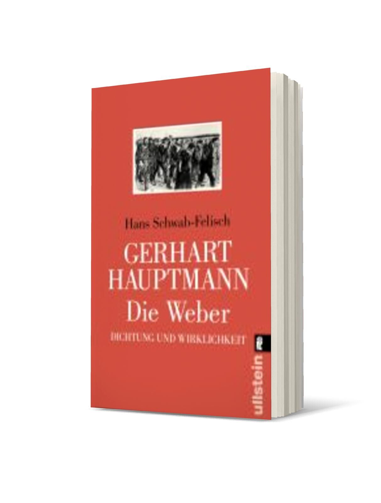 Hans Schwab-Felisch
