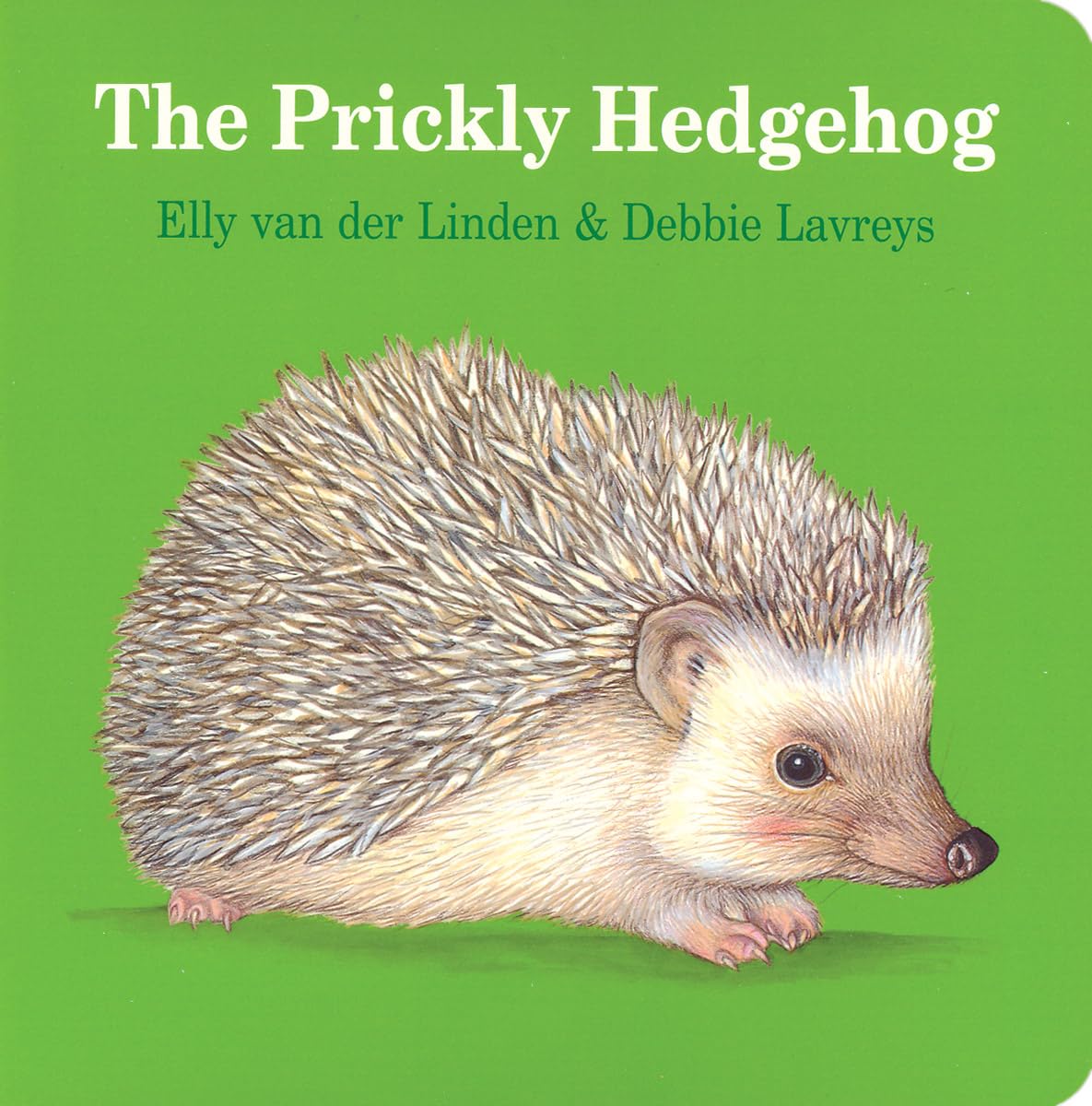 Debbie Lavreys